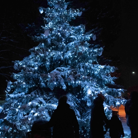 Fotoreportáž z rozsvěcení vánočního stromu